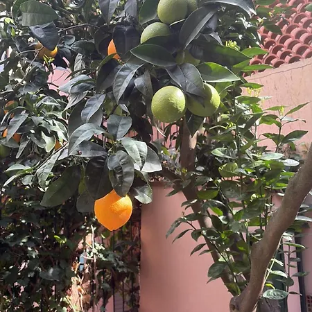 Garden, Con Giardino Privato *